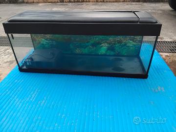 Acquario 