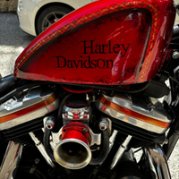 Harley davidson 883 anno 99