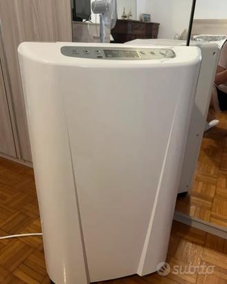 Pinguino condizionatore portatile