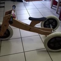 bicicletta pedagogica in legno