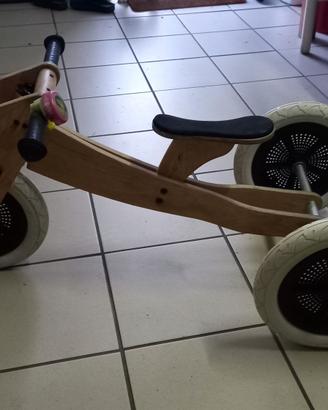 bicicletta pedagogica in legno