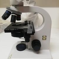 Microscopio Will Wetzlar