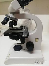 Microscopio Will Wetzlar