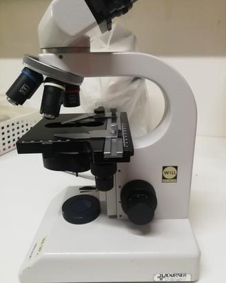 Microscopio Will Wetzlar