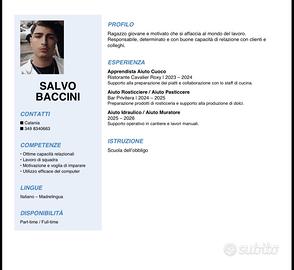 Chi mi offre un lavoro