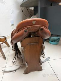 Equitazione