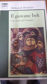 Il giovane Bek