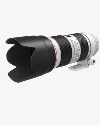 Ottica Canon EF70x200 f2.8 II