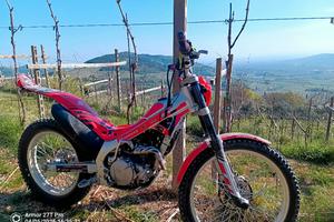 trial montesa