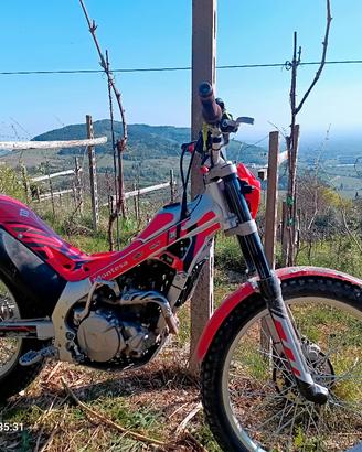 trial montesa