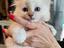 Immagine 4