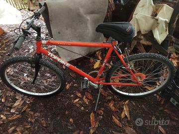 bicicletta 