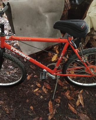 bicicletta 