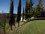 Immagine 25