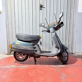 SUMMER PRICE Peugeot  SC metropolis