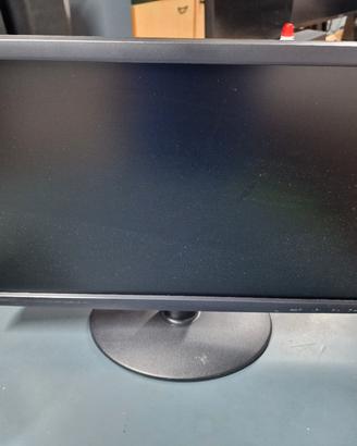 Monitor Nec V221w