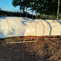 rotoli di fieno per animali 