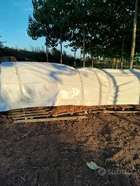 rotoli di fieno per animali 