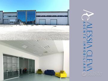 Immobile di 1500 m² a Pomezia