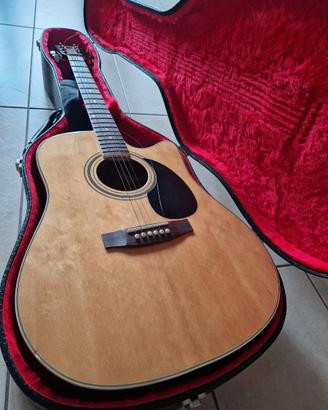 Chitarra acustica con custodia rigida