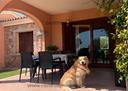 san-teodoro-villette-pet-friendly-da-2-a-10-pax