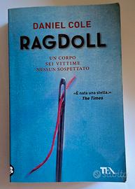 DANIEL COLE - Ragdoll 🖤