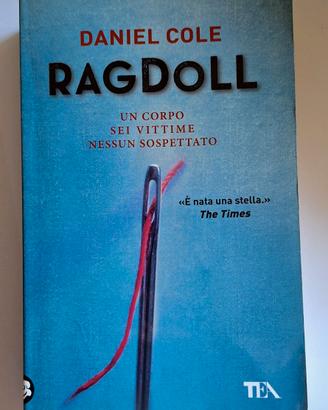 DANIEL COLE - Ragdoll 🖤