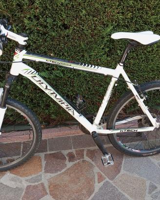 Mountain bike usata