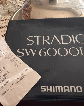 Shore Jigging Stradic