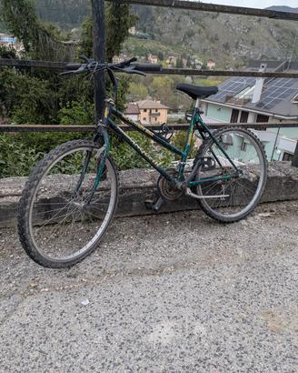 bicicletta Mountain bike Jaqueres Anquetil