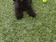 Immagine 4