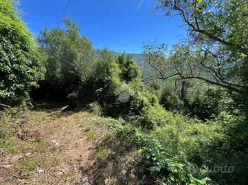 TER. AGRICOLO A LAVAGNA