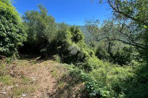 TER. AGRICOLO A LAVAGNA