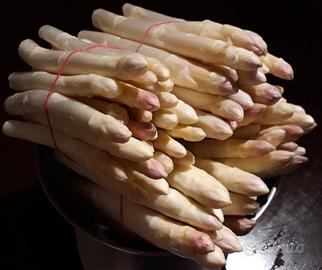 Asparagi freschi BIO
