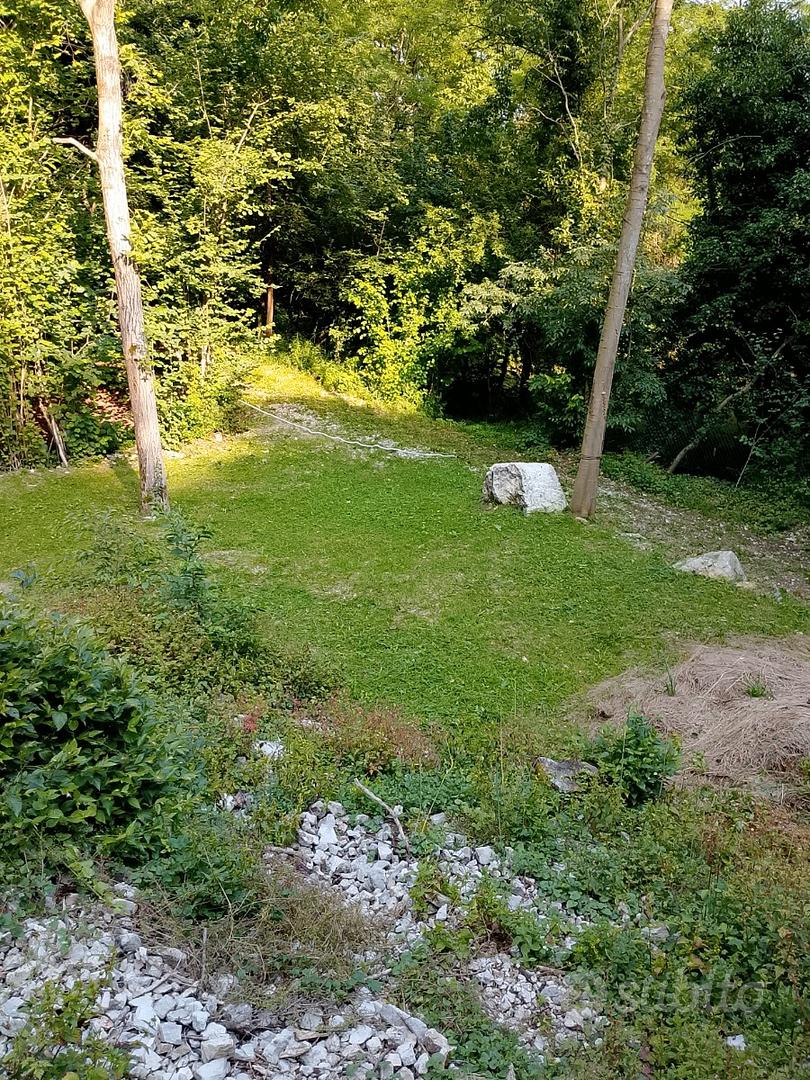 Il Prato nel bosco - Vista 4