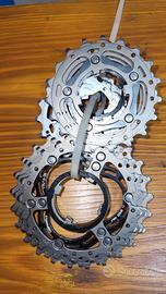 Pacco pignoni Campagnolo Super Record 12-25 11vel 