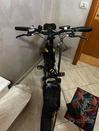 bici minimax pedalata assistita 