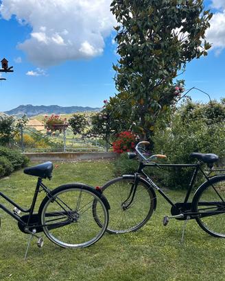 Bici vintage da passeggio