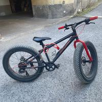 bicicletta