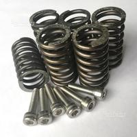 Molle rinforzate + viti inox frizione secco ducati