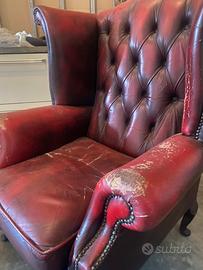 Plotrona Inglese chester Berger