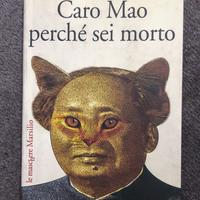 Caro Mao perchè sei morto di Massimo Bucchi