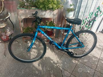 Bicicletta Ecesse Shimano 26'