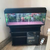 Acquario 120 lt completo