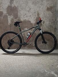 MTB ANALOG anno 2024