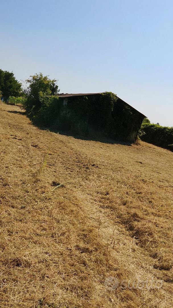 Terreno agricolo - Vista 5