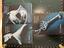 Immagine 1