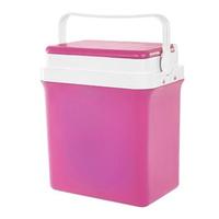 Frigo Borsa Termica 38 L.