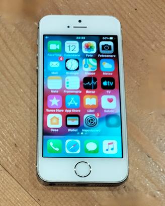 Smartphone iPhone 5s  