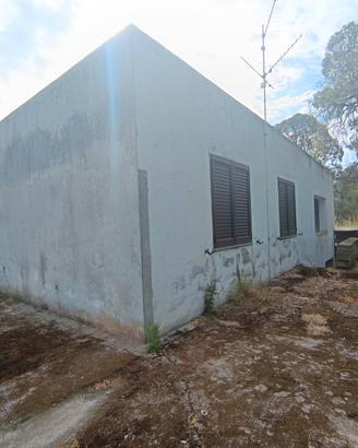 RGE 37/2026 Trib Barcellona PG